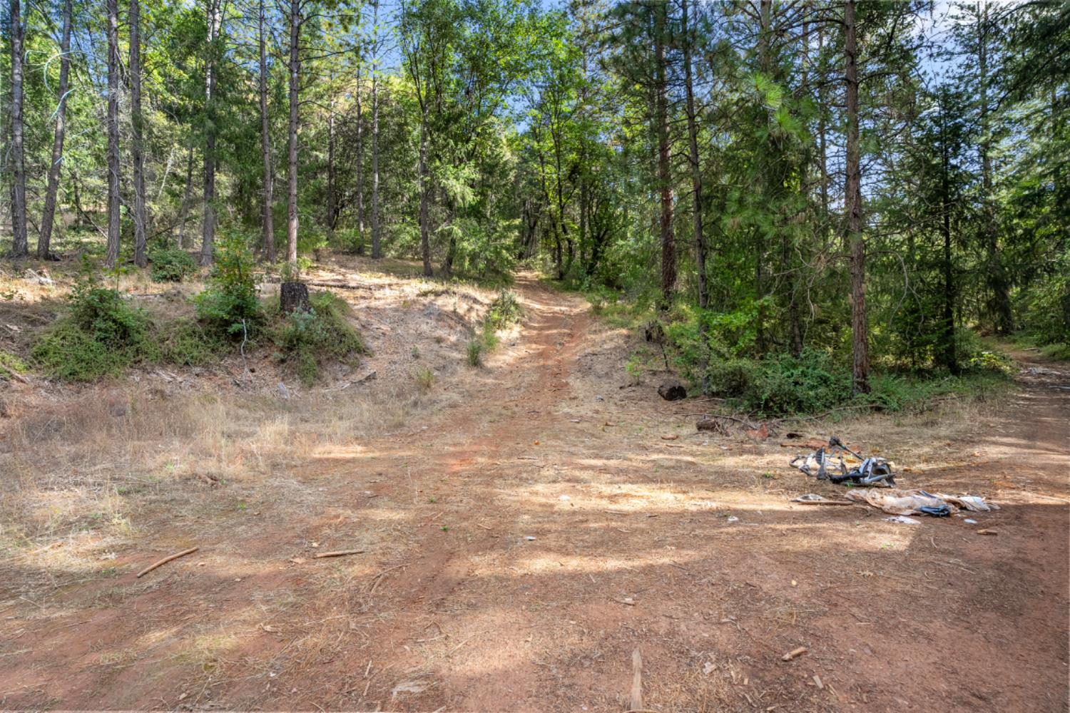 3765 Deer Canyon Road Placerville, CA 95667 - Photo 7 of 8 a view of a dirt road with trees in the background