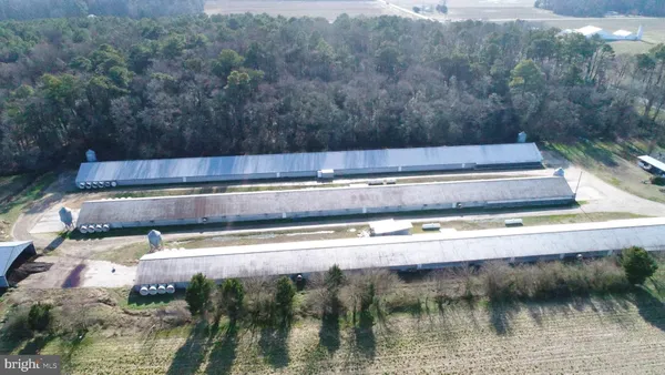a view of swimming pool with yard