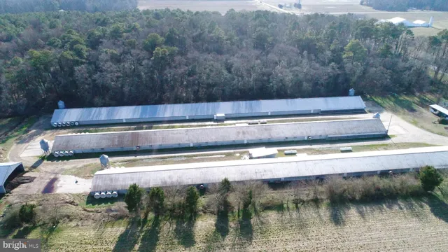 a view of swimming pool with yard