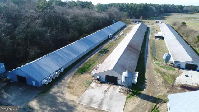 a view of a house with pool and a yard