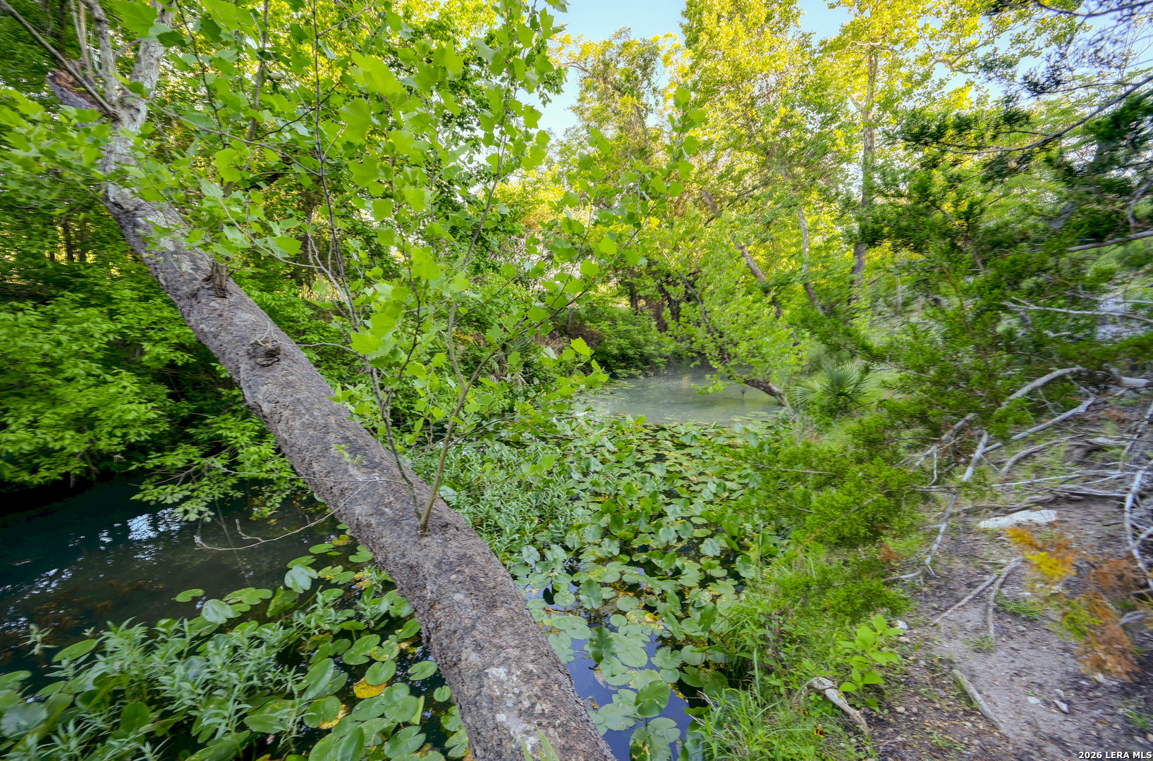 315 Rittimann Road Spring Branch, TX 78070 - Photo 41 of 51