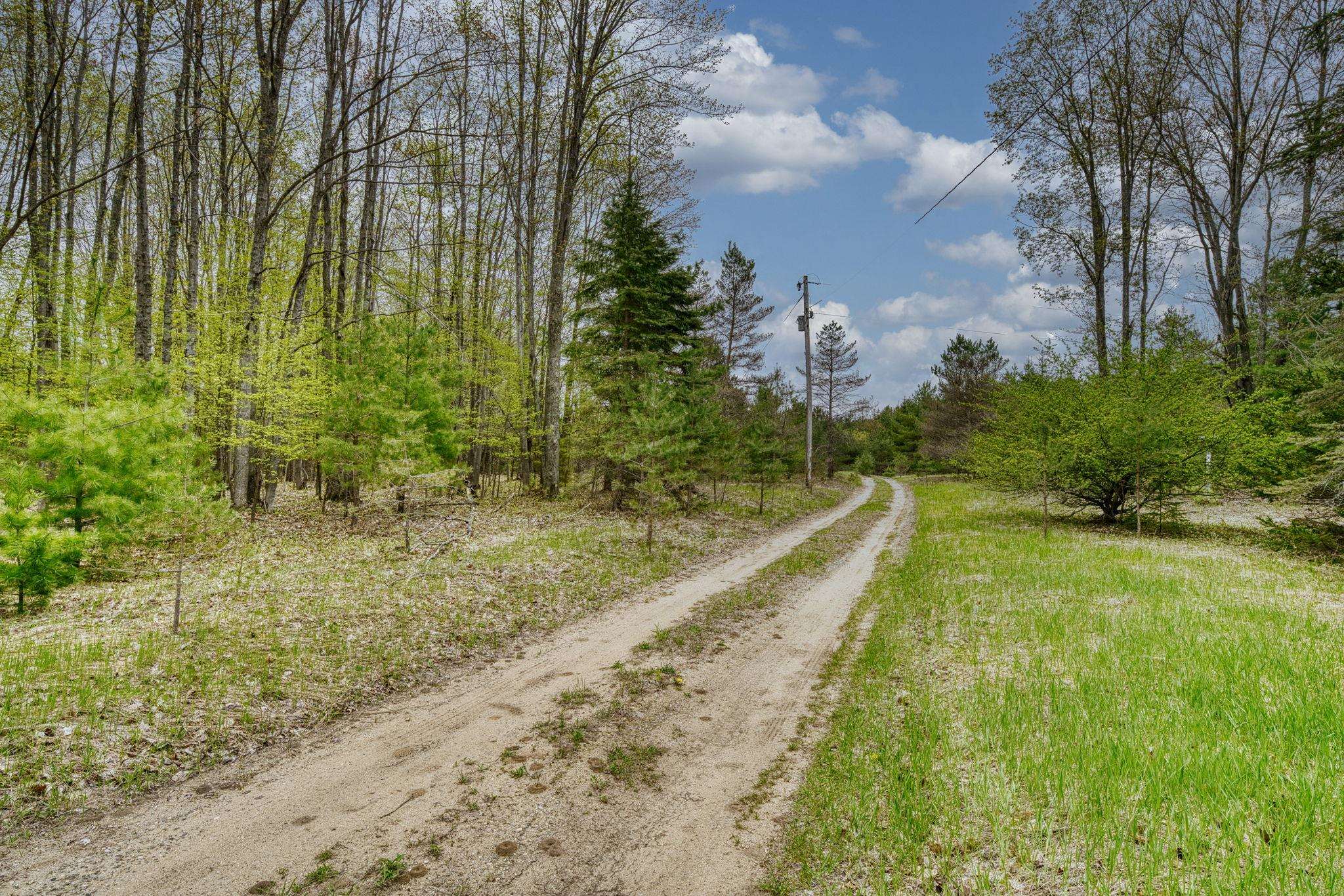 4253 South Garfield Road Kingsley, MI 49649 - Photo 6 of 29