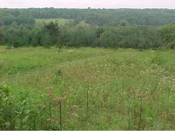 785 Tiona Road Marathon, NY 13803 - Photo 1 of 3 Gallery Image 1
