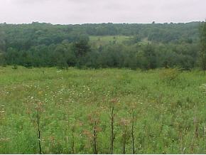 785 Tiona Road Marathon, NY 13803 - Photo 2 of 3 Gallery Image 2