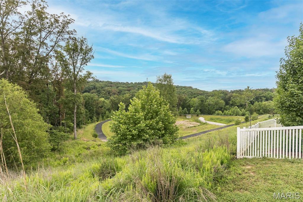 17458 Wyman Ridge Drive Eureka, MO 63025 - Photo 24 of 25