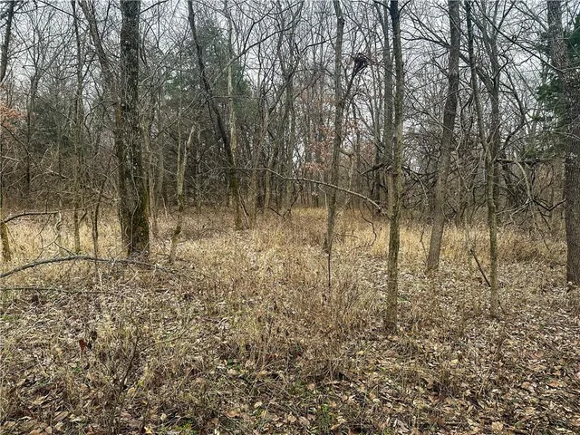 $99,900 | 21363 Walnut Grove Road, Sedalia, MO 65301