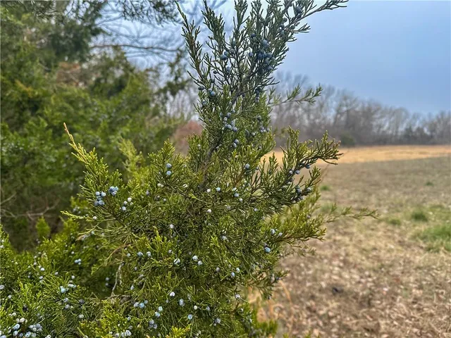 $99,900 | 21363 Walnut Grove Road, Sedalia, MO 65301