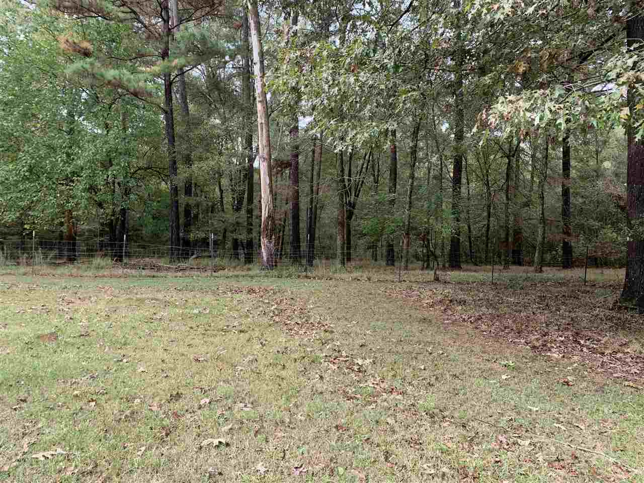 0 Big Creek Road Raymond, MS 39154 - Photo 3 of 3 Photo 3