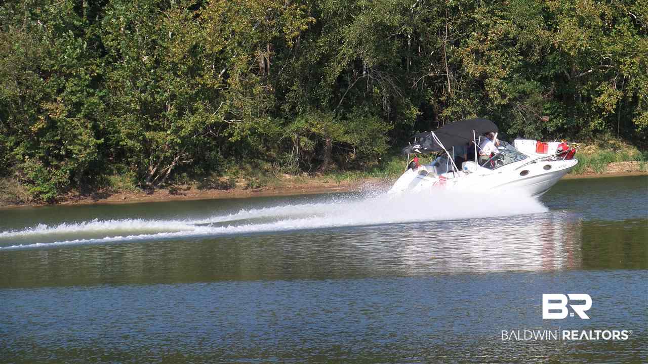 21 Jimmie Phillips Road Sawyerville, AL 36776 - Photo 8 of 41