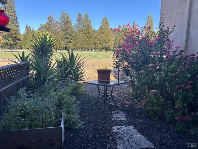 a view of a yard with table and chairs and potted plants