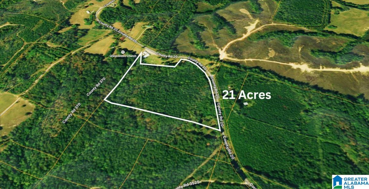 20 County Road Haleyville, AL 35565 - Photo 15 of 17