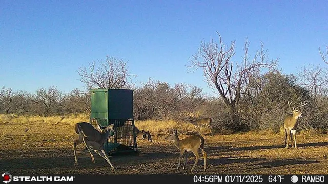 $1,499,000 | 1434 Cr 313 Gouldbusk Tx 76845, Gouldbusk, TX 76845