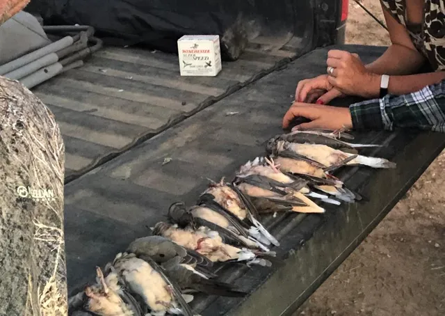 $1,499,000 | 1434 Cr 313 Gouldbusk Tx 76845, Gouldbusk, TX 76845