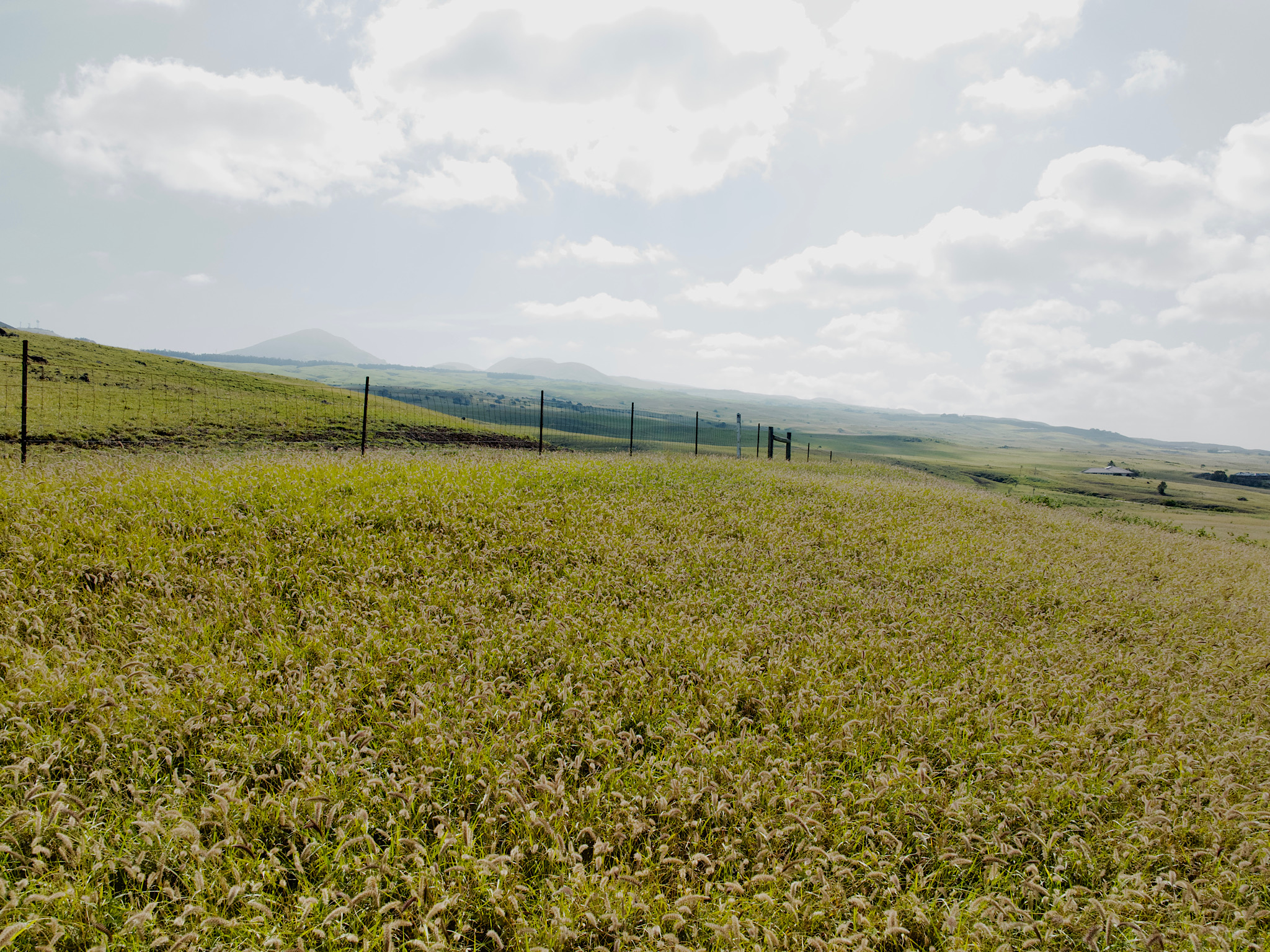 706 Kalama Way, Unit 706 Kamuela, HI 96743 - Photo 12 of 19 a view of an ocean