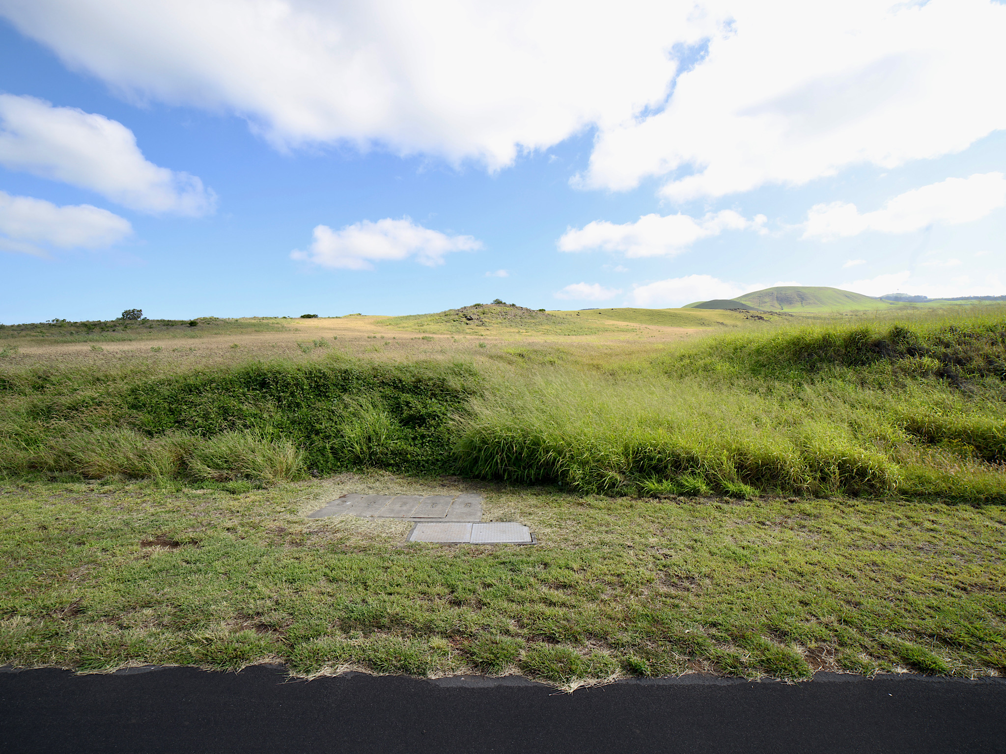 706 Kalama Way, Unit 706 Kamuela, HI 96743 - Photo 16 of 19 a view of a lake with a mountain