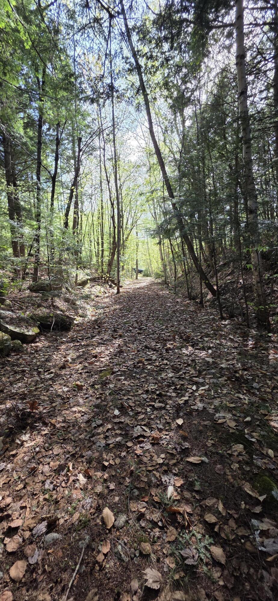 1261 Turkey Tail Road Millinocket, ME 04462 - Photo 12 of 41 20250515_153103