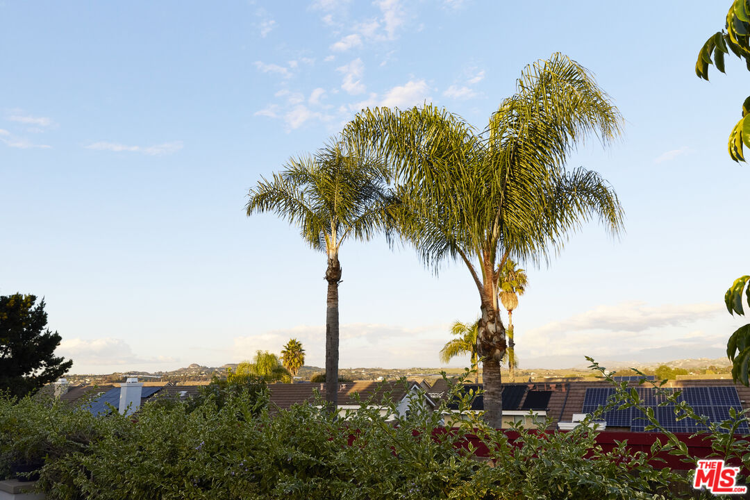 358 Via Metates Oceanside, CA 92057 - Photo 29 of 29 a view of a palm tree with ocean view