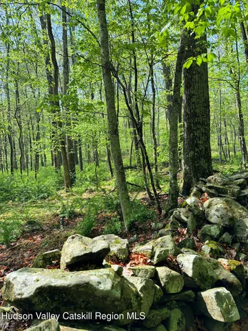 a view of backyard with green space