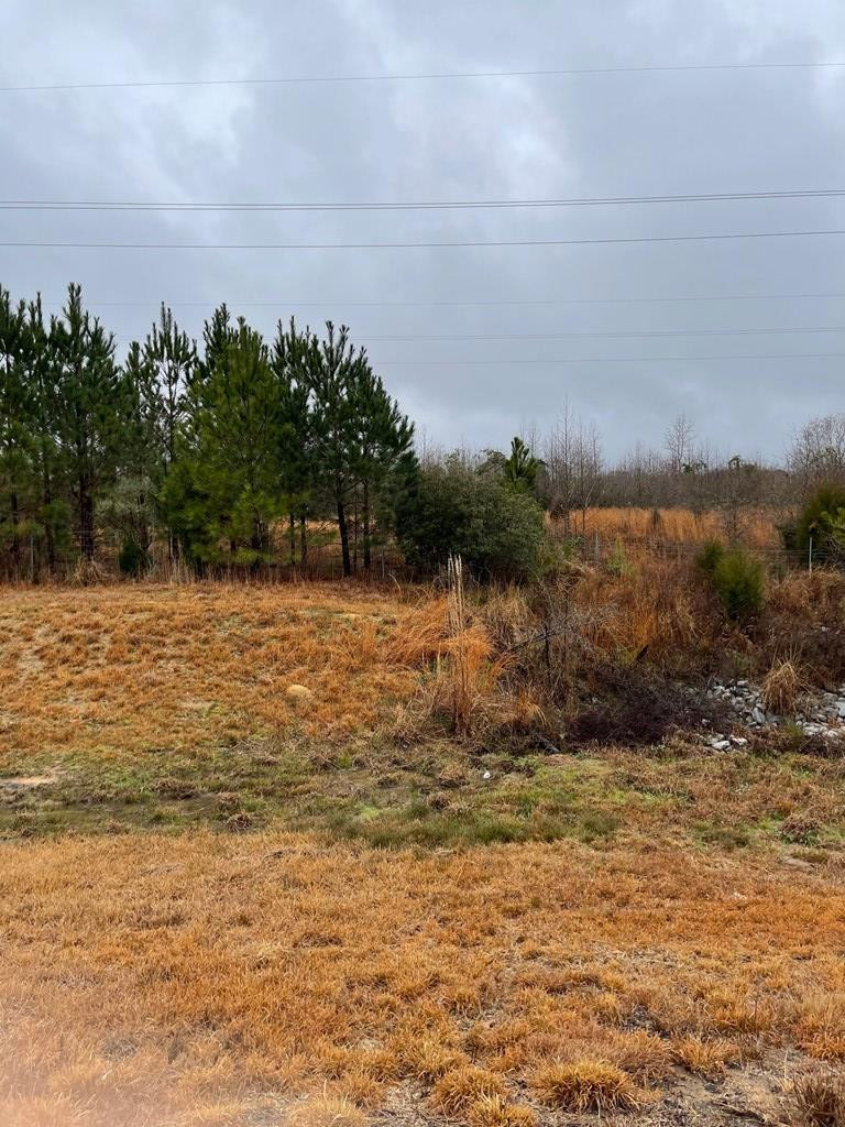 B Northeast Old Washington Road Thomson, GA 30824 - Photo 2 of 3