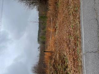 B Northeast Old Washington Road Thomson, GA 30824 - Photo 3 of 3
