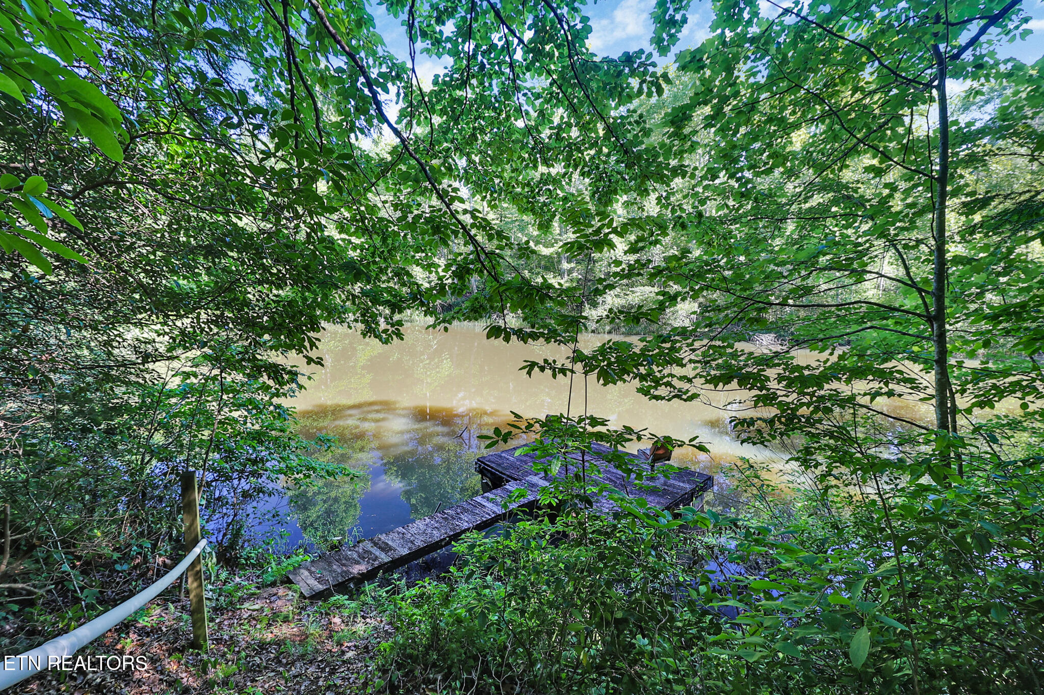 101 Duncan Hinds Road Jamestown, TN 38556 - Photo 31 of 59 Pond
