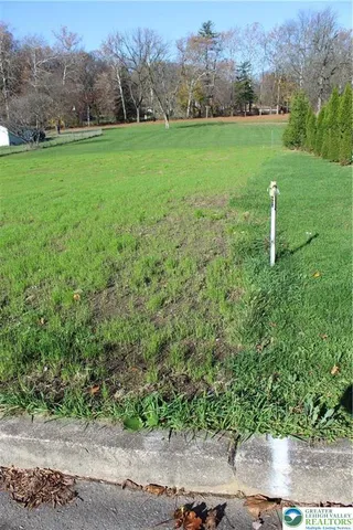 a view of a grassy field with trees