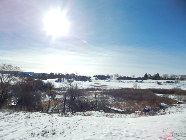 15575-59 59 1/2 Road Collbran, CO 81624 - Photo 12 of 12 Gallery Image 12