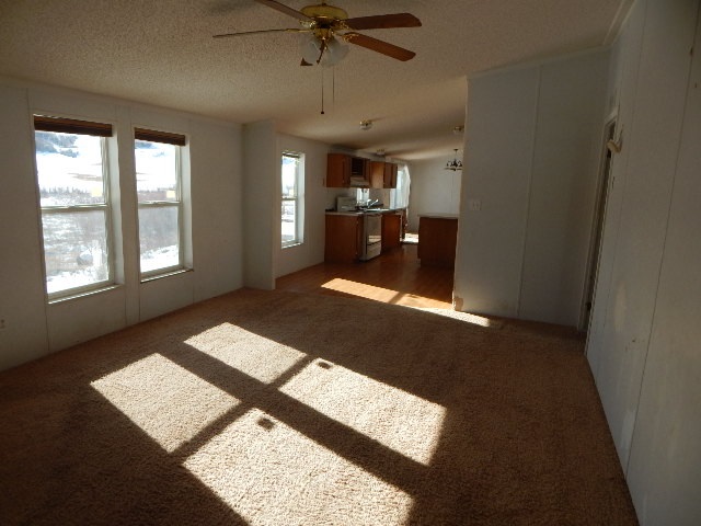 15575-59 59 1/2 Road Collbran, CO 81624 - Photo 2 of 12 Gallery Image 2