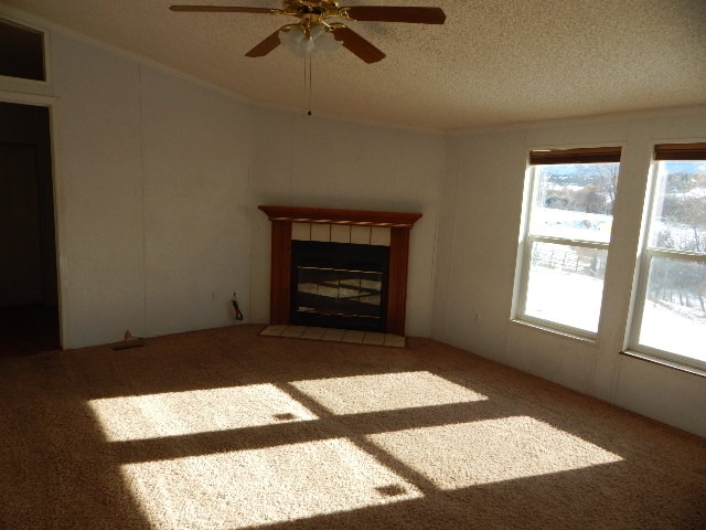 15575-59 59 1/2 Road Collbran, CO 81624 - Photo 3 of 12 Gallery Image 3