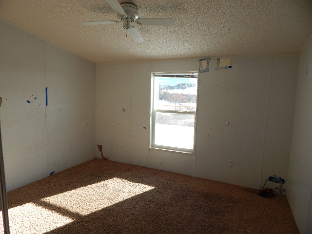 15575-59 59 1/2 Road Collbran, CO 81624 - Photo 9 of 12 Gallery Image 9