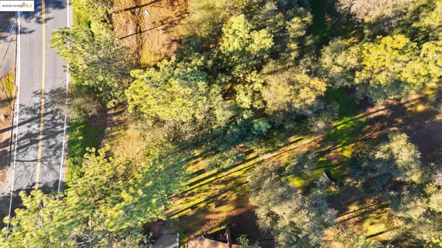 a view of a park with large trees
