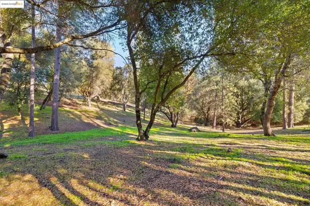 a house with trees in front of it