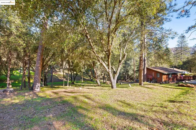 a view of road with trees