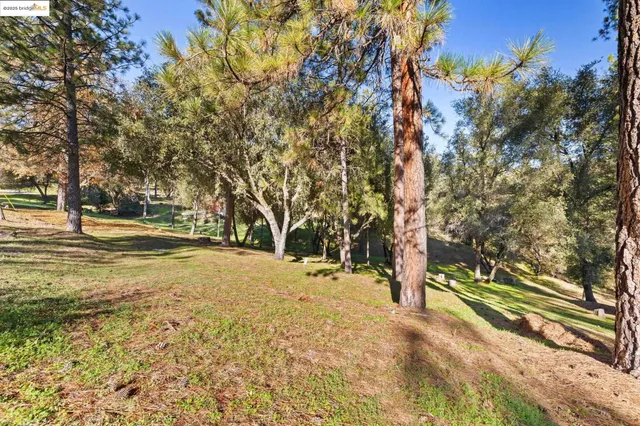 a view of a lake with a mountain in the background