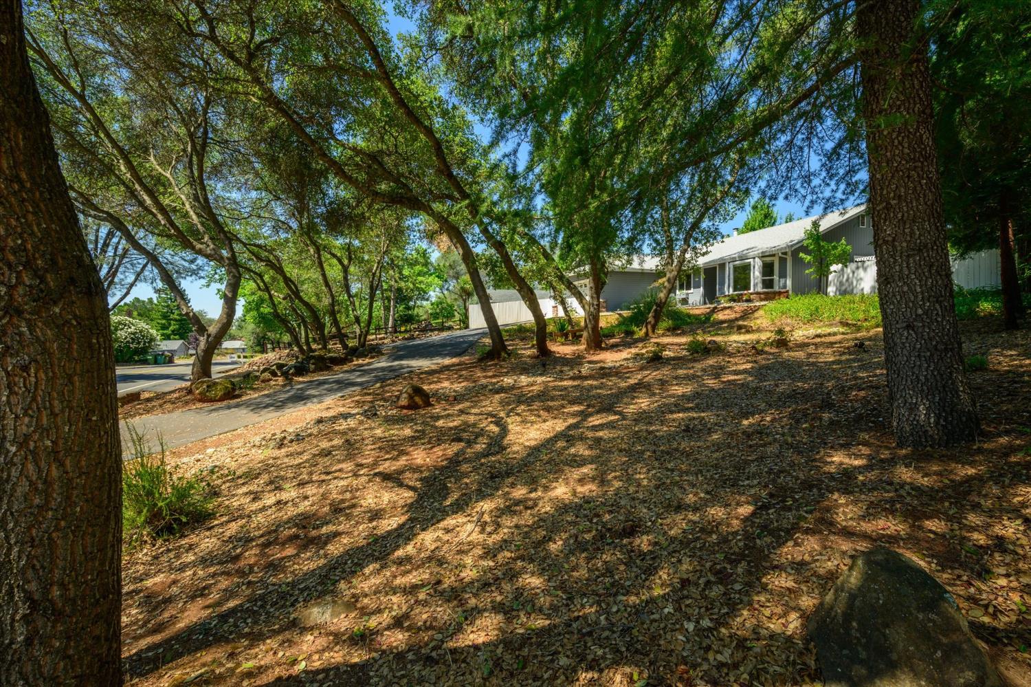 3614 Cambridge Road Cameron Park, CA 95682 - Photo 39 of 55