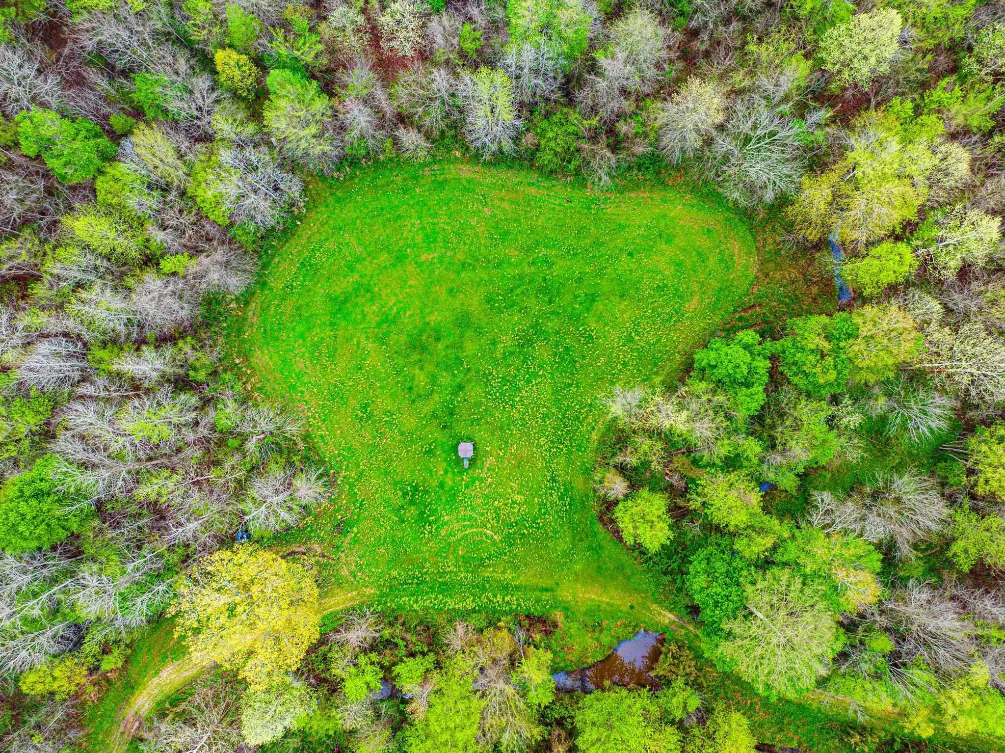 280 Fields Road Dukedom, TN 38226 - Photo 13 of 40 Drone / aerial view