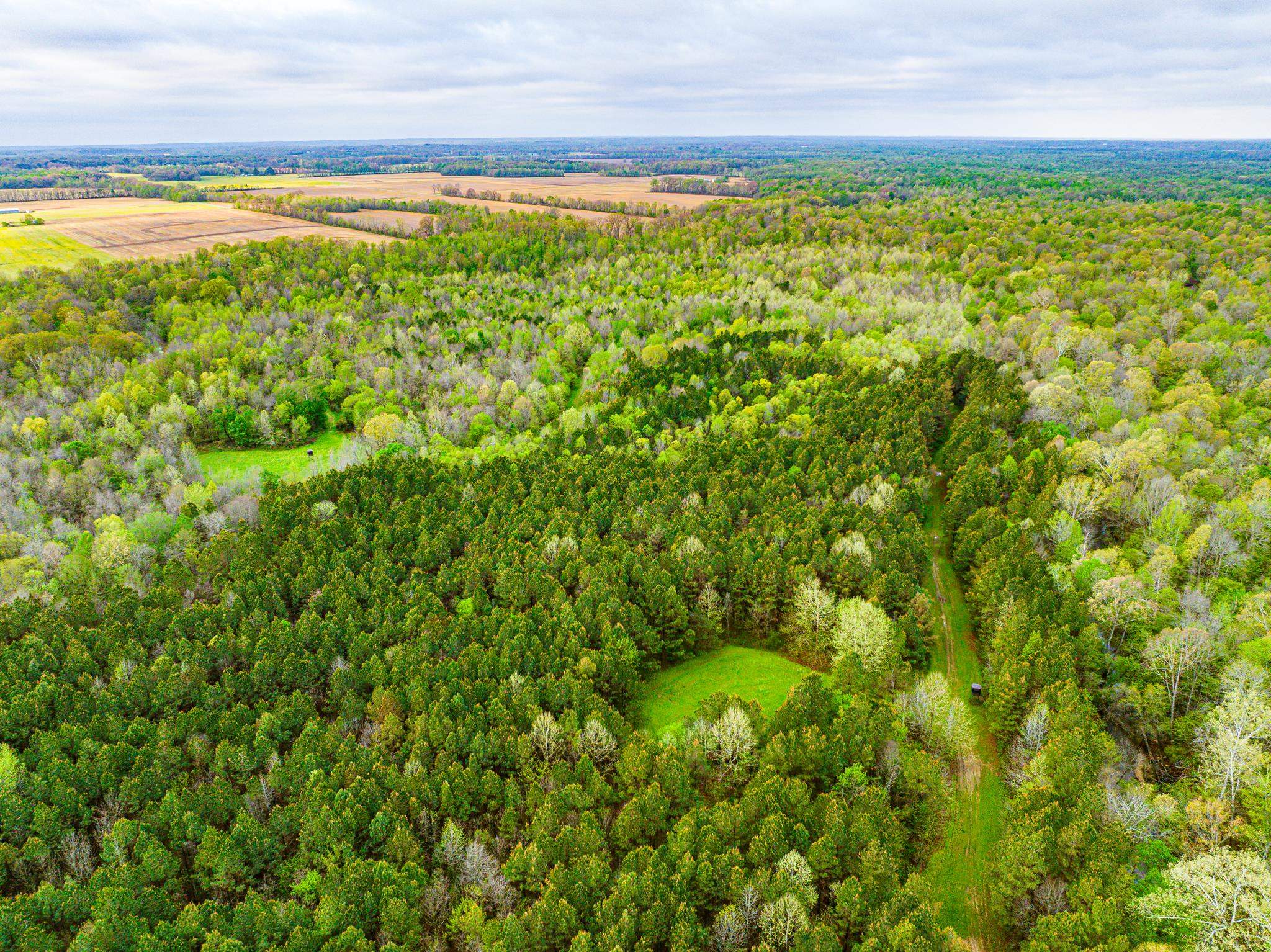 280 Fields Road Dukedom, TN 38226 - Photo 15 of 40 Aerial view of sparsely populated area with a heavily wooded area