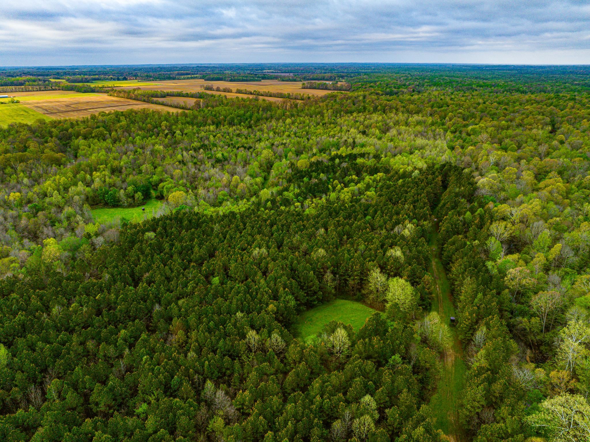 280 Fields Road Dukedom, TN 38226 - Photo 16 of 40 Bird's eye view of a heavily wooded area