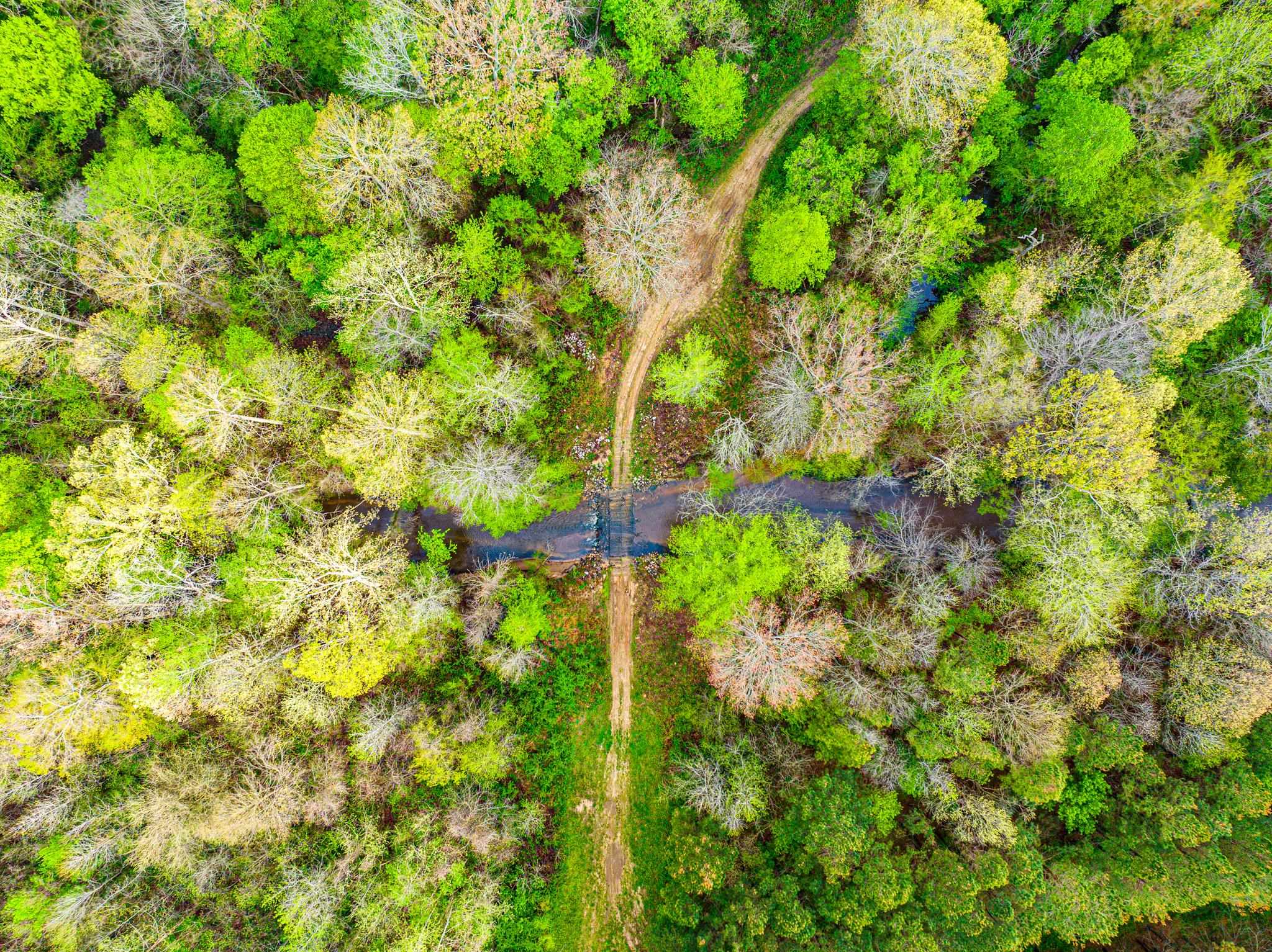 280 Fields Road Dukedom, TN 38226 - Photo 17 of 40 Exterior view