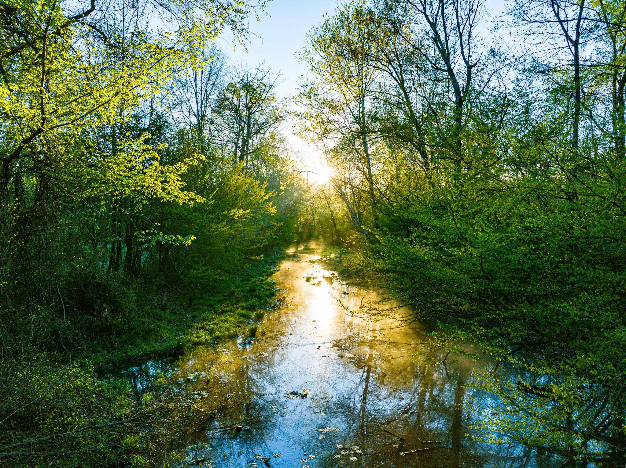 280 Fields Road Dukedom, TN 38226 - Photo 4 of 40 Water view