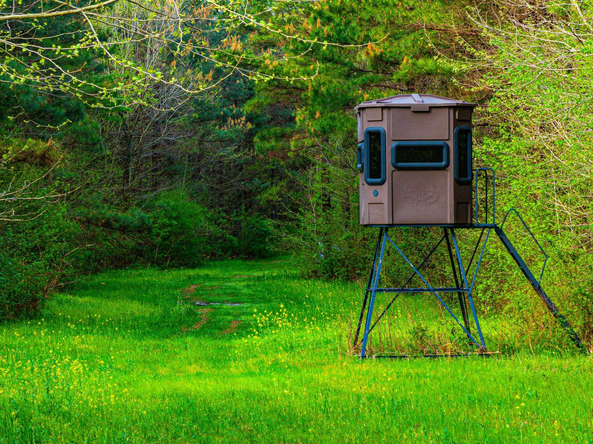 280 Fields Road Dukedom, TN 38226 - Photo 5 of 40 Exterior view