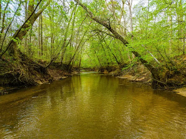 a view of an ocean with trees