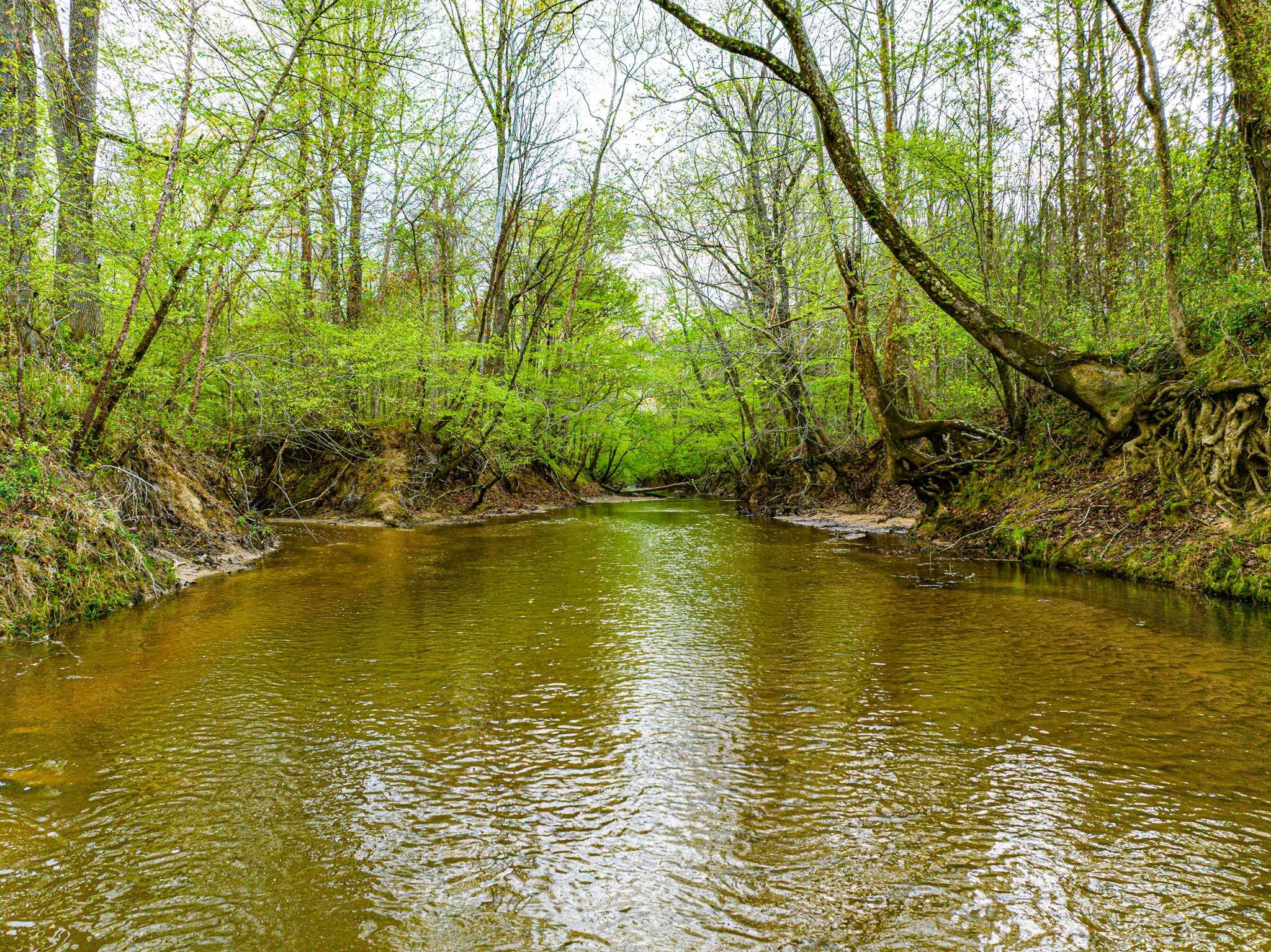 280 Fields Road Dukedom, TN 38226 - Photo 7 of 40 Water view
