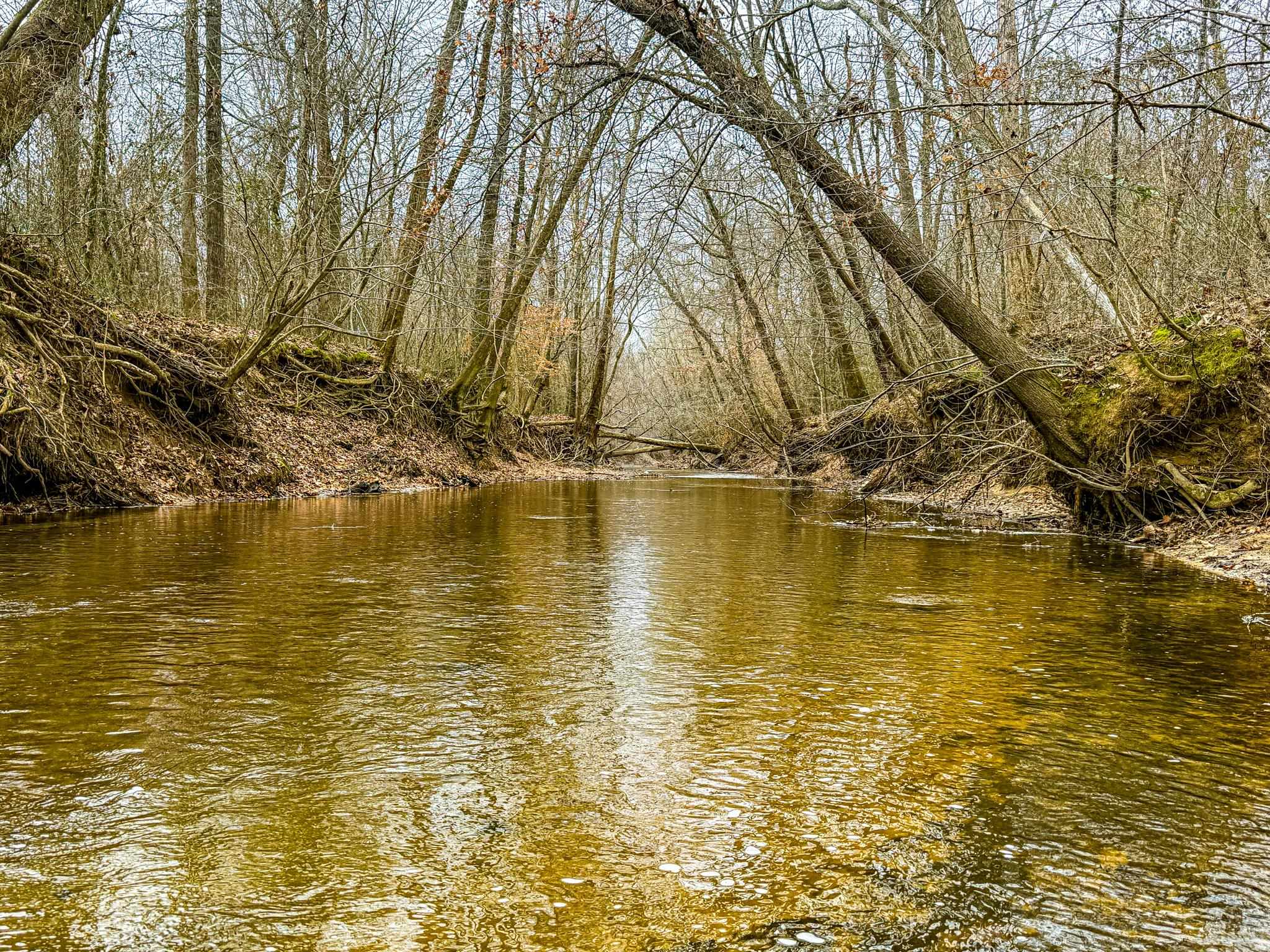 280 Fields Road Dukedom, TN 38226 - Photo 8 of 40 Water view