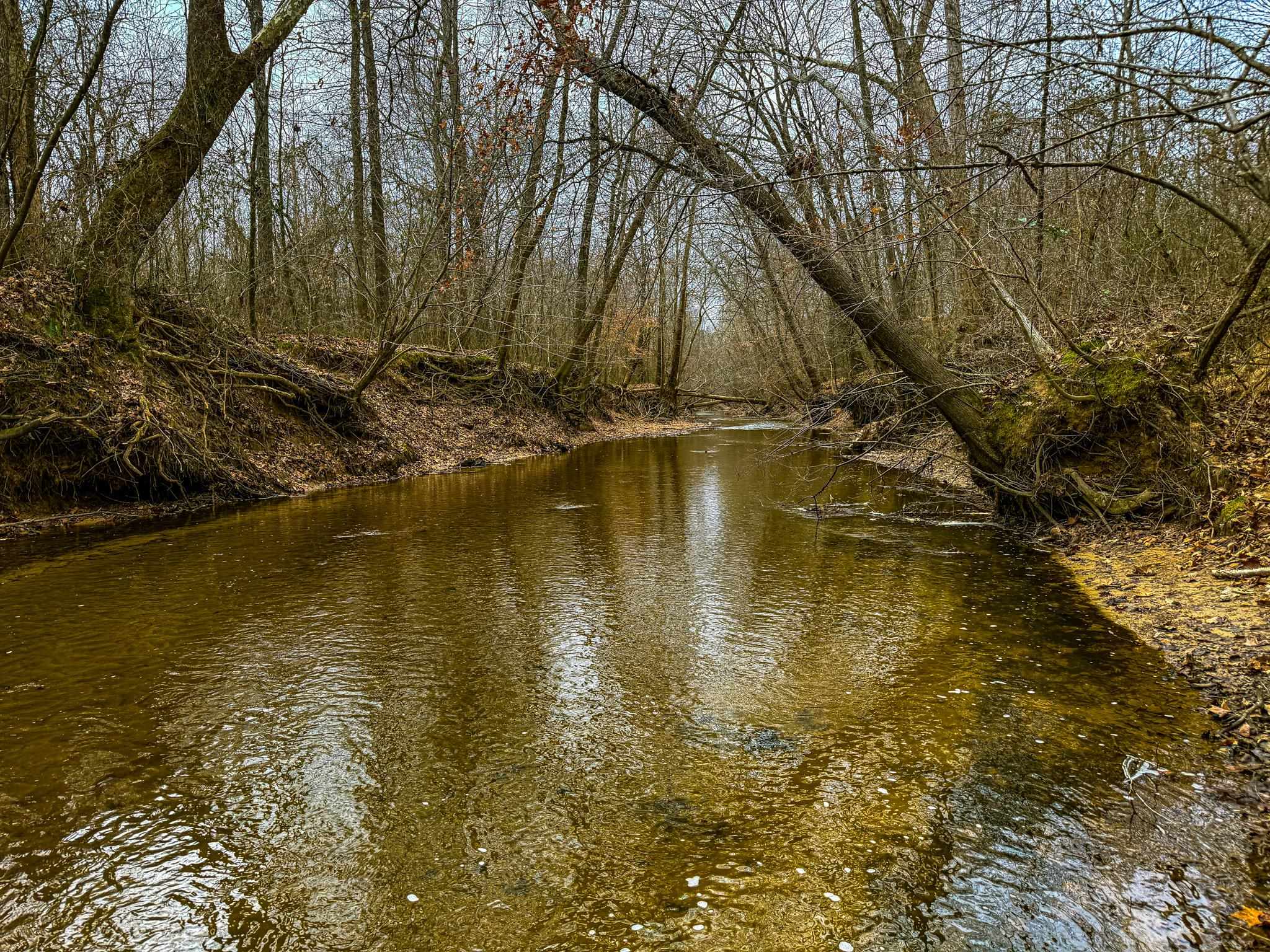 280 Fields Road Dukedom, TN 38226 - Photo 9 of 40 Water view