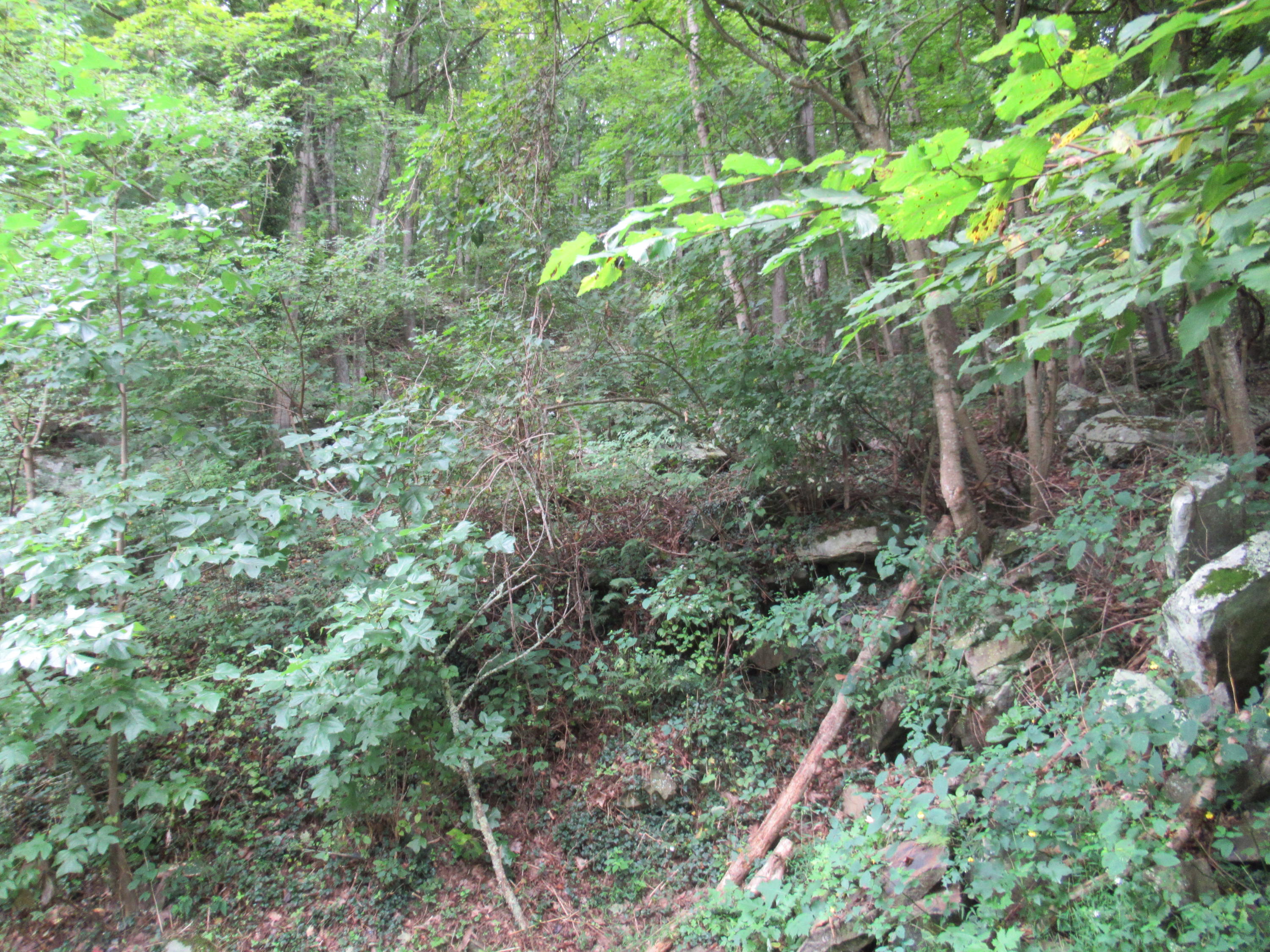 460 Coffman Hill Road Ronceverte, WV 24970 - Photo 24 of 27 Gallery Image 24