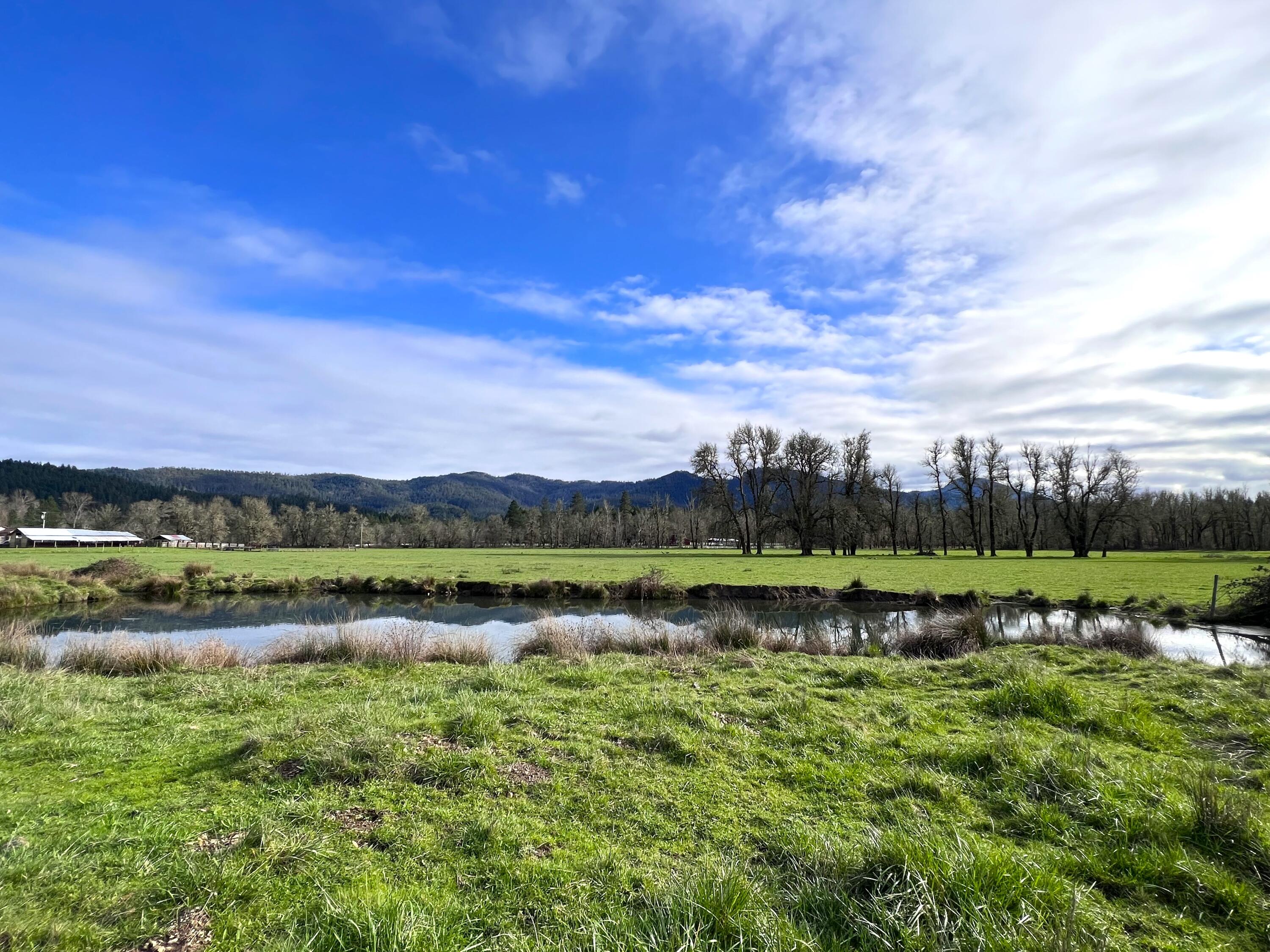 620 Dick George Road Cave Junction, OR 97523 - Photo 95 of 123 116