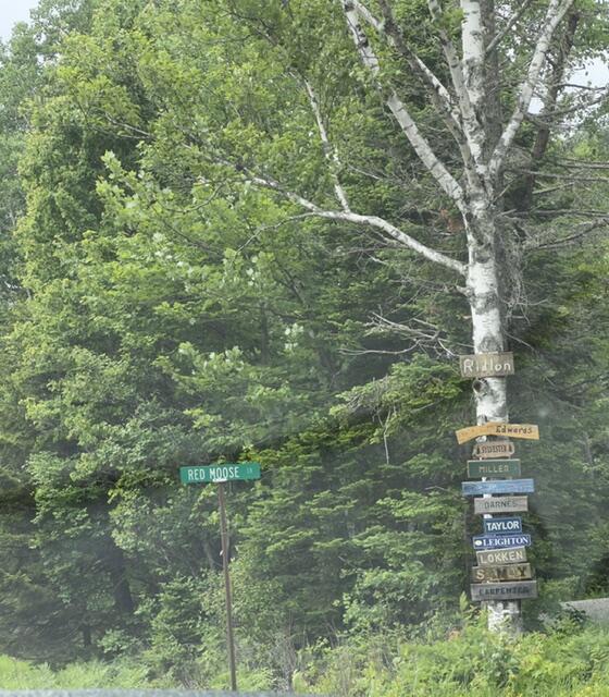 Map004-030 Ermine Road Sandy River Plt, ME 04970 - Photo 13 of 15 Red Moose Lane off of RTE 4