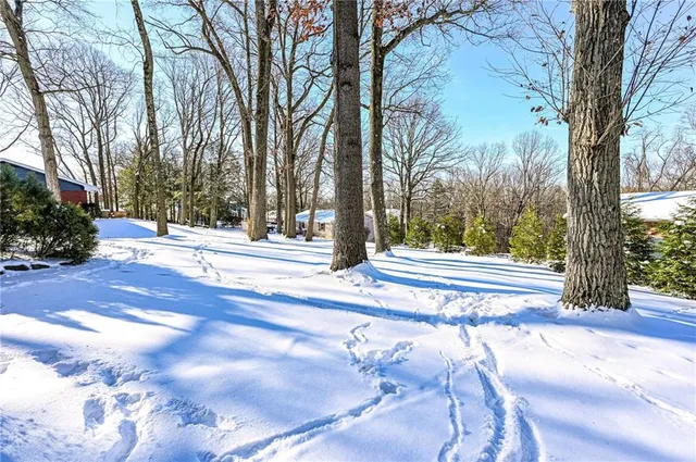 a view of a yard with large trees