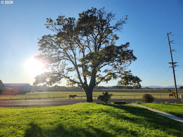 a backyard of a house with lots of green space